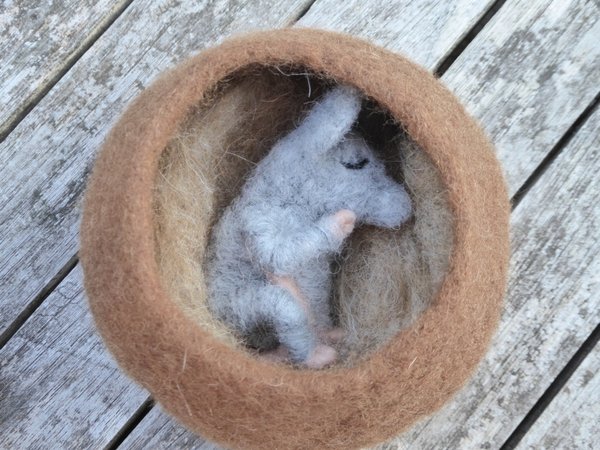 Eichelhöhle mit schlafender Maus