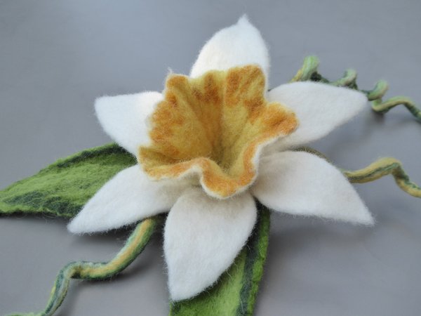 Blume Blüte Narzisse Osterglocke